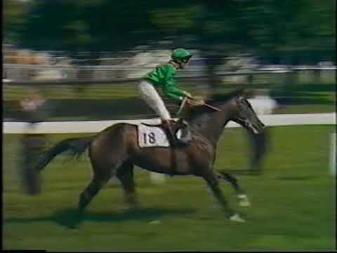 1981 Derby and Oaks Shergar & Blue Wind Walter Swinburn and Lester Piggott Extended Coverage