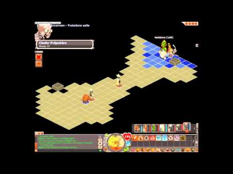 comment monter petit chienchien noir dofus