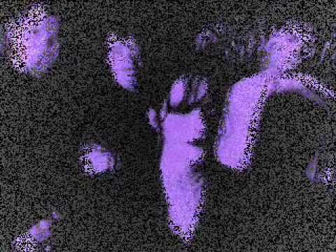 Leningrad Sandwich - Concrete Dub