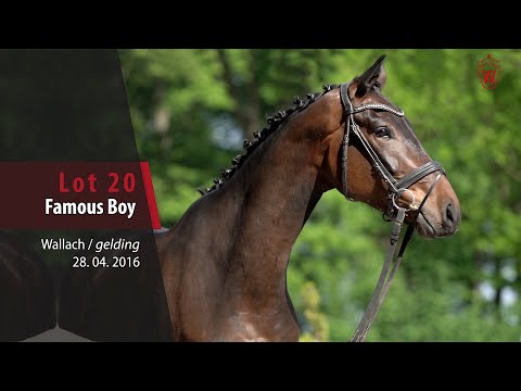 20 Famous Boy Wallach v. For Romance I - De Niro