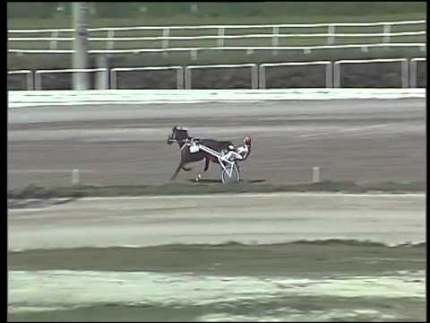 Trotto 02/04/2015 - prova di riqualifica