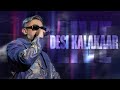 Yo Yo Honey Singh Performs Desi Kalakaar LIVE Must Watch Concert Moment