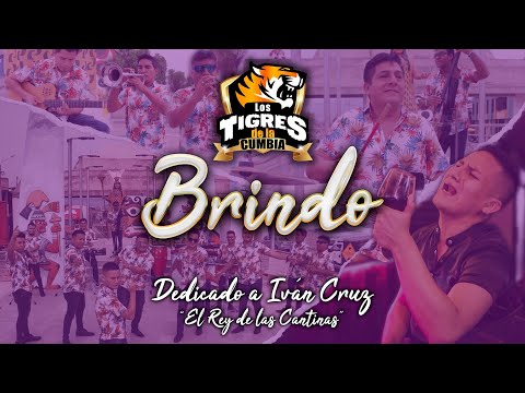 Los Tigres de la Cumbia - Brindo (Video oficial)