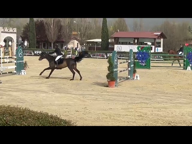 Affitto super cavalla 