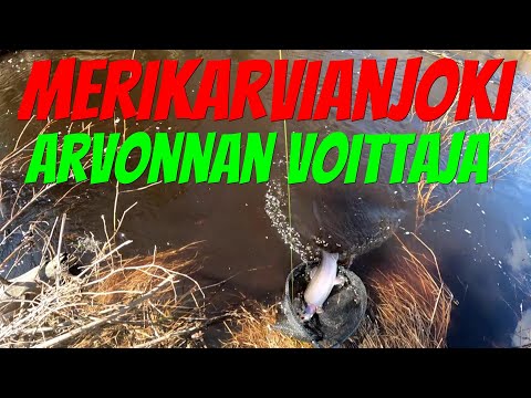 Merikarvianjoki | Arvonnan voittaja | Kirjolohta | Kalastus