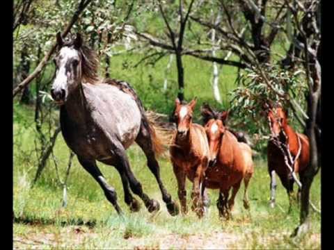 ESE ES MI LLANO COMPAY - EDGAR NACACHE