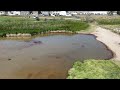 Vlc Record 2024 08 06 13h10m58s DJI 20240805102629 0040 D MP4