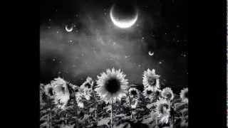 Giraluna - LUIS EDUARDO AUTE