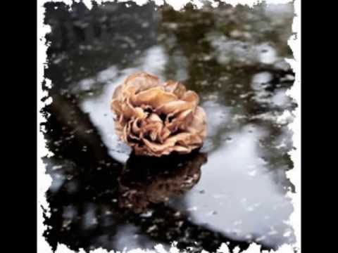 Dmitry Bortnyansky - We Worship the Power of Love /