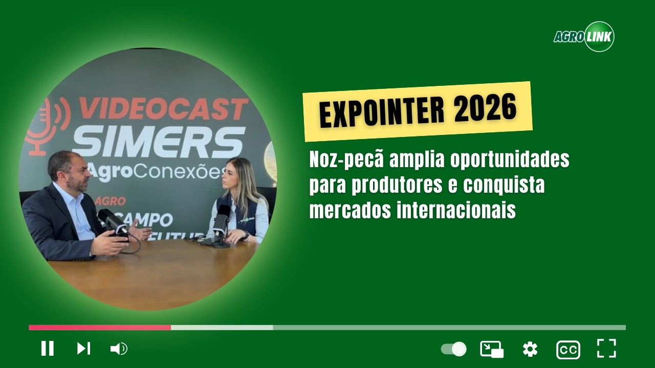 Noz-pecã amplia oportunidades para produtores e conquista mercados internacionais