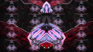 An Arrangement (Steve Kilbey)(Freaky Conclusions)