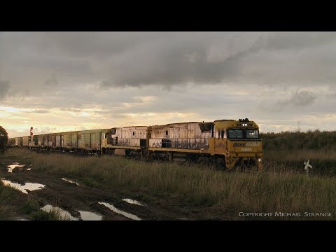 2PM5 Pacific National Mixed Freight Train - PoathTV Australian Railways