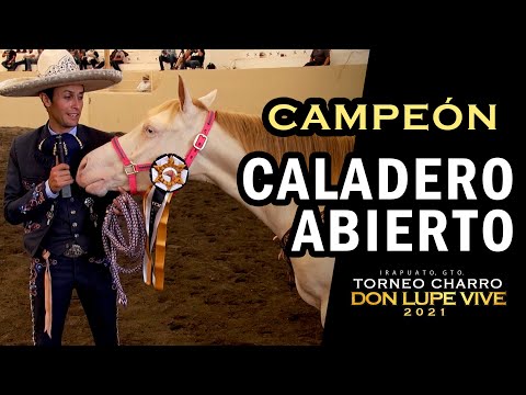 Champion 1st place OPEN FISHING FISHING FISH - Mauricio Pichon Rios - Don Lupe Vive Tournament 2021