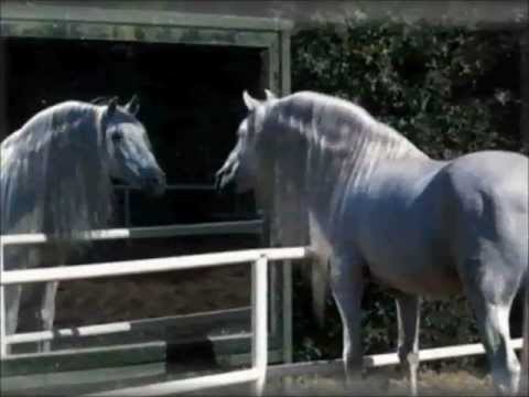 ♥♫♥~ Edyta Geppert~ To nic ze to sen... ♥♫♥