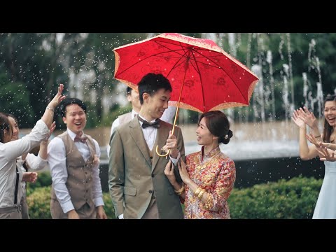 ShaTin Hyatt Hong Kong Wedding | Same Day Edit 香港婚禮 早拍晚播