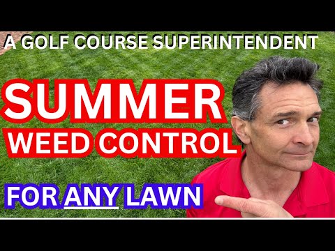 Ultimate Guide to Controlling Summer Weeds