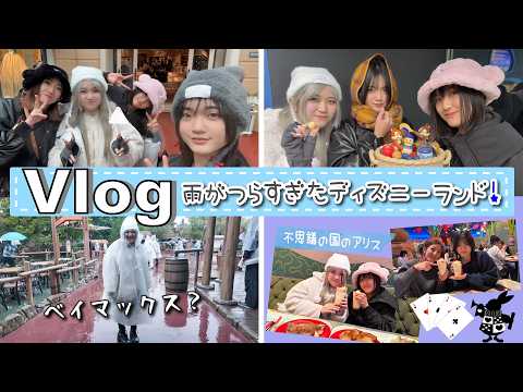 ★Vlog★1日中雨で極寒！つらすぎたディズニーランド・・・
