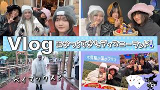 ★Vlog★1日中雨で極寒！つらすぎたディズニーランド・・・
