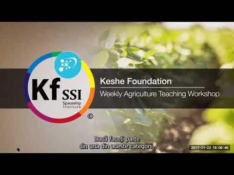 2017 11 22 PM Public Teaching in Romanian - Cursuri publice în română