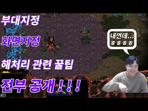 StarCraft Zerg - Unit Grouping and Screen Positioning Tips