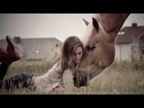 Tierkommunikation Teil 1 - Basiswissen