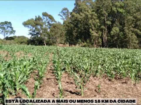 86 HECTARES VENDO EM DOM FELICIANO RS APENAS 7 MIL REAIS POR HECTARE.