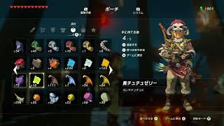 【実況】愛に生きるゼルダの伝説ブレスオブザワイルド part75【ミノル】