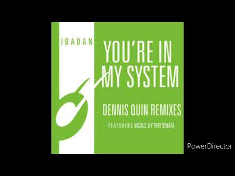 Kerri Chandler, Jerome Sydenham - You're In My System (Dennis Quin Club Mix) [Ibadan, IRC143_01]