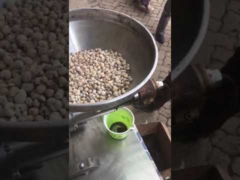 NF 500 çift rulman, double bearing cold press oil machine baobab oil extraction, baobab oil machine