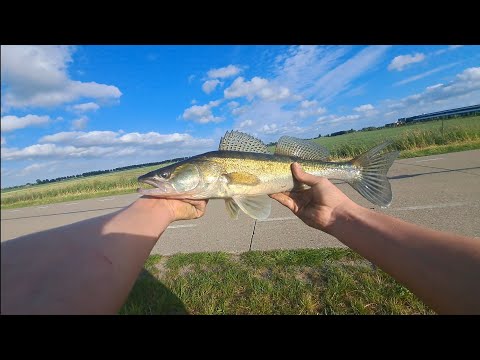 Lekker vissen op snoekbaars (ik vang er een!)