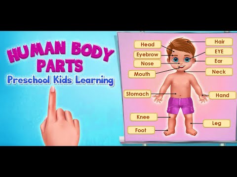Human Body Parts - Kids Games Video