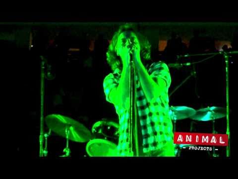 Pearl Jam - In My Tree (Boston 2010-05-17) Multicam