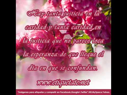 download lagu mp3 mp4 Amigo Yarita Lizeth Letra, download lagu Amigo Yarita Lizeth Letra gratis, unduh video klip Amigo Yarita Lizeth Letra