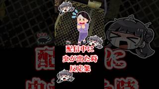 配信中に特に嫌いな虫と遭遇した時の反応集 【#雑談 #切り抜き動画 】