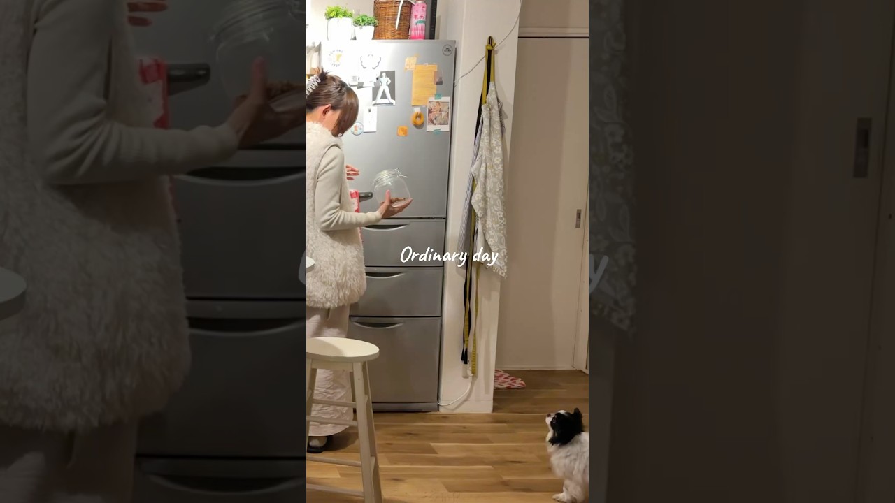 手帳好きな35歳、ひとりの夜☕️📖#ひとり暮らし #手帳タイム #インテリア #丁寧な暮らし