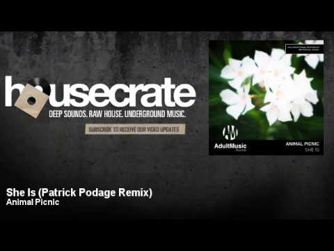 Animal Picnic - She Is - Patrick Podage Remix