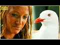 Saving Steven Seagull | The Shallows | Creature Features