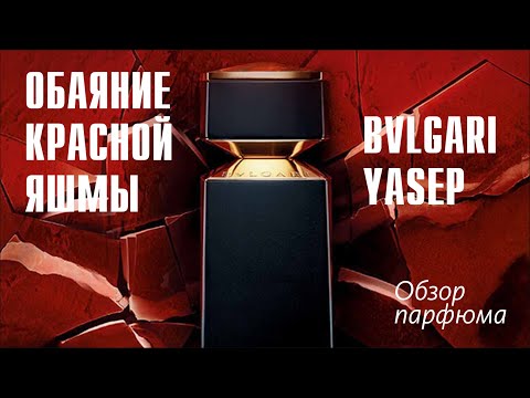 CUCUMBERS! GIVE IT AWAY! BVLGARI YASEP // PERFUME REVIEW // Fragrance Review
