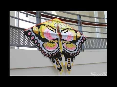 Hsinchu Tsuruga Corra! !