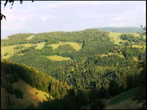 Arieseni Alba Romania