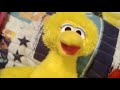 Big Bird Sings Sing Your Synonyms