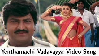 Yentamanchi Vadavayya Video Song  Collector Garu M