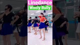 Wooly Bully Linedance 라인댄스 - Sam the Sham &amp; The Pharaohs
