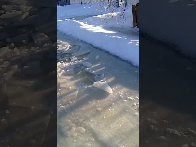 Минзәлә районының Куян авылын кондызлар су бастырган - 2