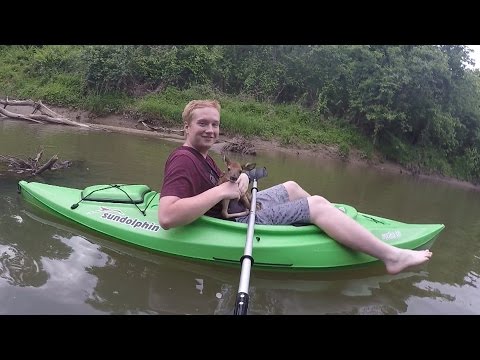 A Baby Deer Jumped In My Kayak