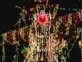 Disneyland Main Street Electrical Parade