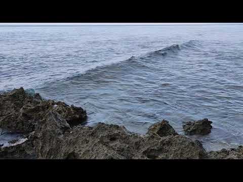 Laxmanpur Beach Neil Island(3)