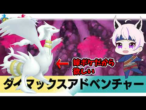 【ダイマックスアドベンチャー/ポケットモンスター剣盾】色違いレシラム欲しいきつねさん