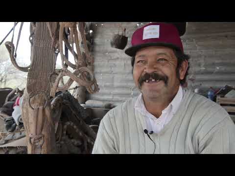 Baloy Lujan. San Solano. Dpto San Martín