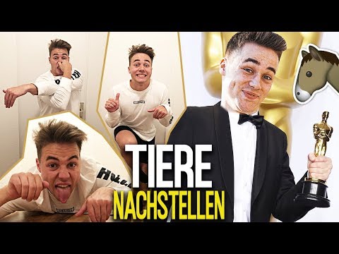 Ein IDIOT stellt TIERE nach 😂 PANTOMIME Challenge | Max und Chris